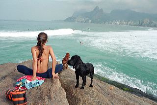 A brazilian girl in bikini with her two dogs watches the surf on Ipanema beach, Rio de Janeiro, Brazil