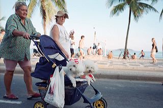 An older woman in pink tights pushes a pram with two white, well-groomed poodles along the Ipanema beach in Rio de Janeiro, Brazil