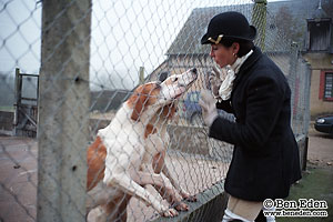 Hunter playing with hounds across a wire fence